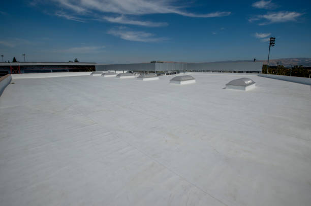 Best Roof Insulation Installation  in East Rancho Dominguez, CA