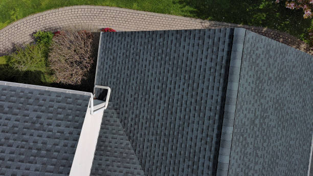 Best Green or Eco-Friendly Roofing Solutions  in East Rancho Dominguez, CA